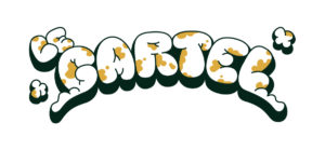 le-cartel-aureliensaly-saly